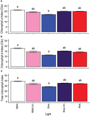 Light means power: harnessing light spectrum and UV-B to enhance photosynthesis and rutin levels in microtomato plants